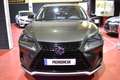 Lexus NX 300 300h Executive Navigation 4WD Grün - thumbnail 2