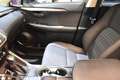Lexus NX 300 300h Executive Navigation 4WD Grün - thumbnail 21