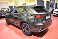 Lexus NX 300 300h Executive Navigation 4WD Grün - thumbnail 6