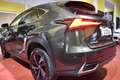 Lexus NX 300 300h Executive Navigation 4WD Grün - thumbnail 17