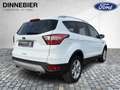 Ford Kuga COOL&CONNECT 1.5EB |NAVI*PARK-ASSIST*PDC| NAVI Key Blanc - thumbnail 5