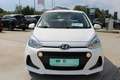 Hyundai i10 1,0 Level 2 Weiß - thumbnail 2
