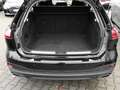 Audi A5 Avant TFSI Sports. ACC Kamera Businessp. Leder ... Schwarz - thumbnail 14