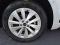 Skoda Scala Selection 1,0 TSI 7-Gang aut Weiß - thumbnail 11
