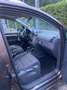 Volkswagen Touran Cup BMT Braun - thumbnail 5