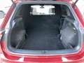 Volkswagen Tiguan 2.0 TDI 150PK Aut. R-line 4Motion | Grijs kenteken Rouge - thumbnail 6