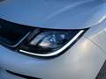 BYD Dolphin Comfort Blanc - thumbnail 4