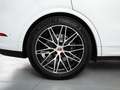 Porsche Cayenne E-Hybrid Aut. Blanc - thumbnail 26