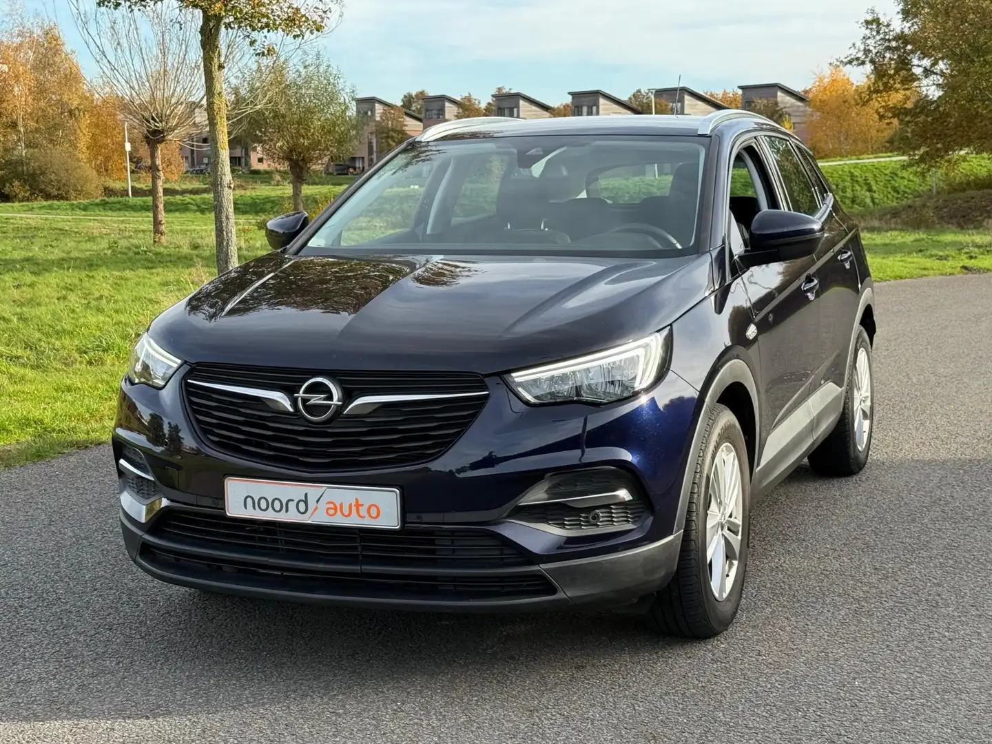 Opel Grandland X 1.2 Turbo Business Edition | Cruise | Trekhaak | Blauw - 2