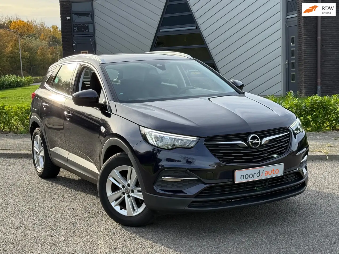 Opel Grandland X 1.2 Turbo Business Edition | Cruise | Trekhaak | Blauw - 1