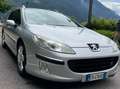 Peugeot 407 407 SW 2.0 hdi - thumbnail 1