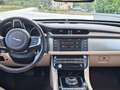 Jaguar XF 2.0d Prestige Business edition awd 180cv auto - thumbnail 6