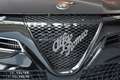 Alfa Romeo Junior Junior 1.2 VGT Ibrida Sport Speciale Schwarz - thumbnail 6