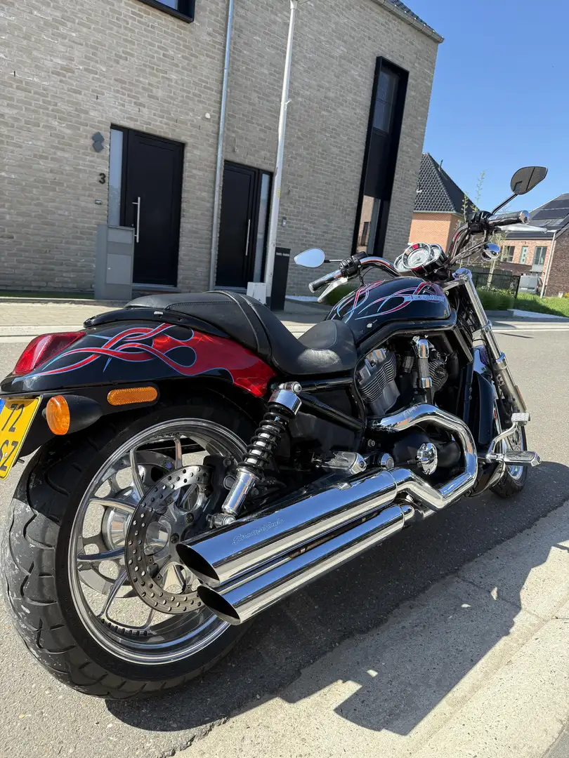 Harley-Davidson V-Rod VRSCB Rouge - 2