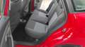 SEAT Ibiza 1.2 Reference 70 Rojo - thumbnail 10