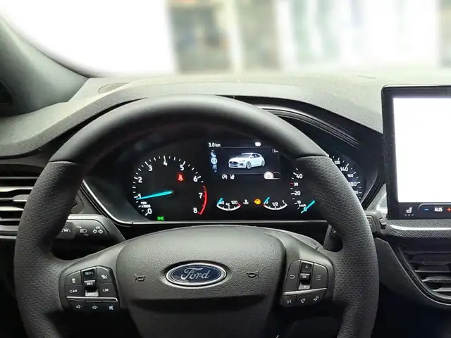 Ford Focus view 13