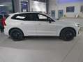 Volvo XC60 T6 AWD Plus BLACK EDITION Weiß - thumbnail 2