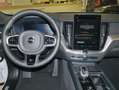 Volvo XC60 T6 AWD Plus BLACK EDITION Weiß - thumbnail 10