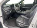 Cadillac XT4 2.0 T Sport AWD *Vollausstattung* Blanc - thumbnail 9
