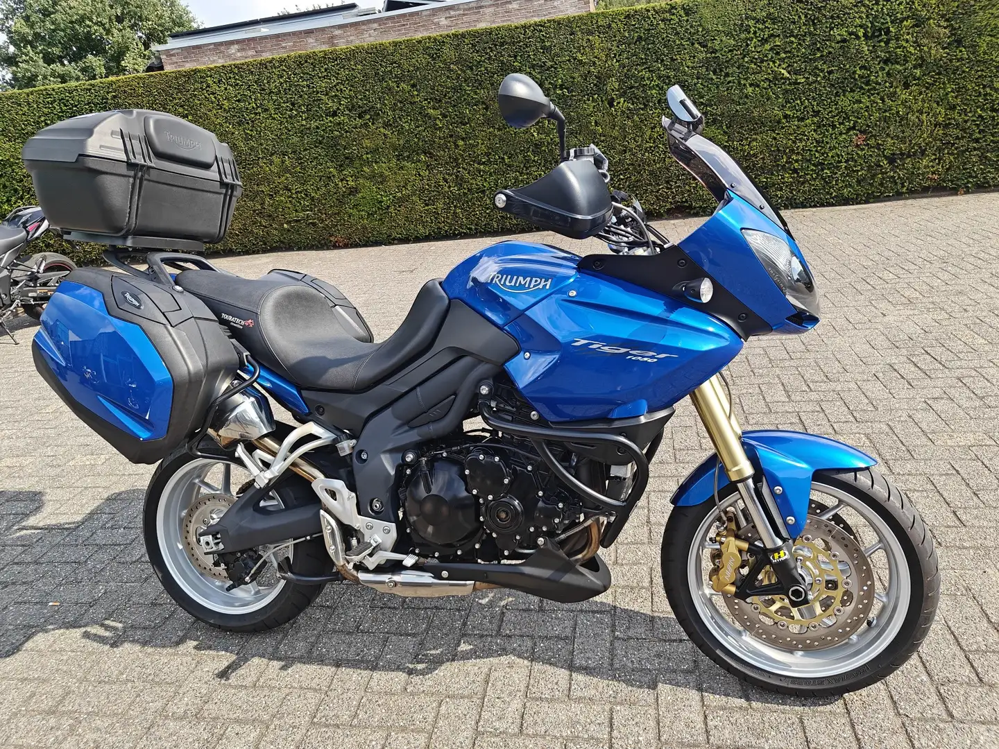 Triumph Tiger 1050 Bleu - 1