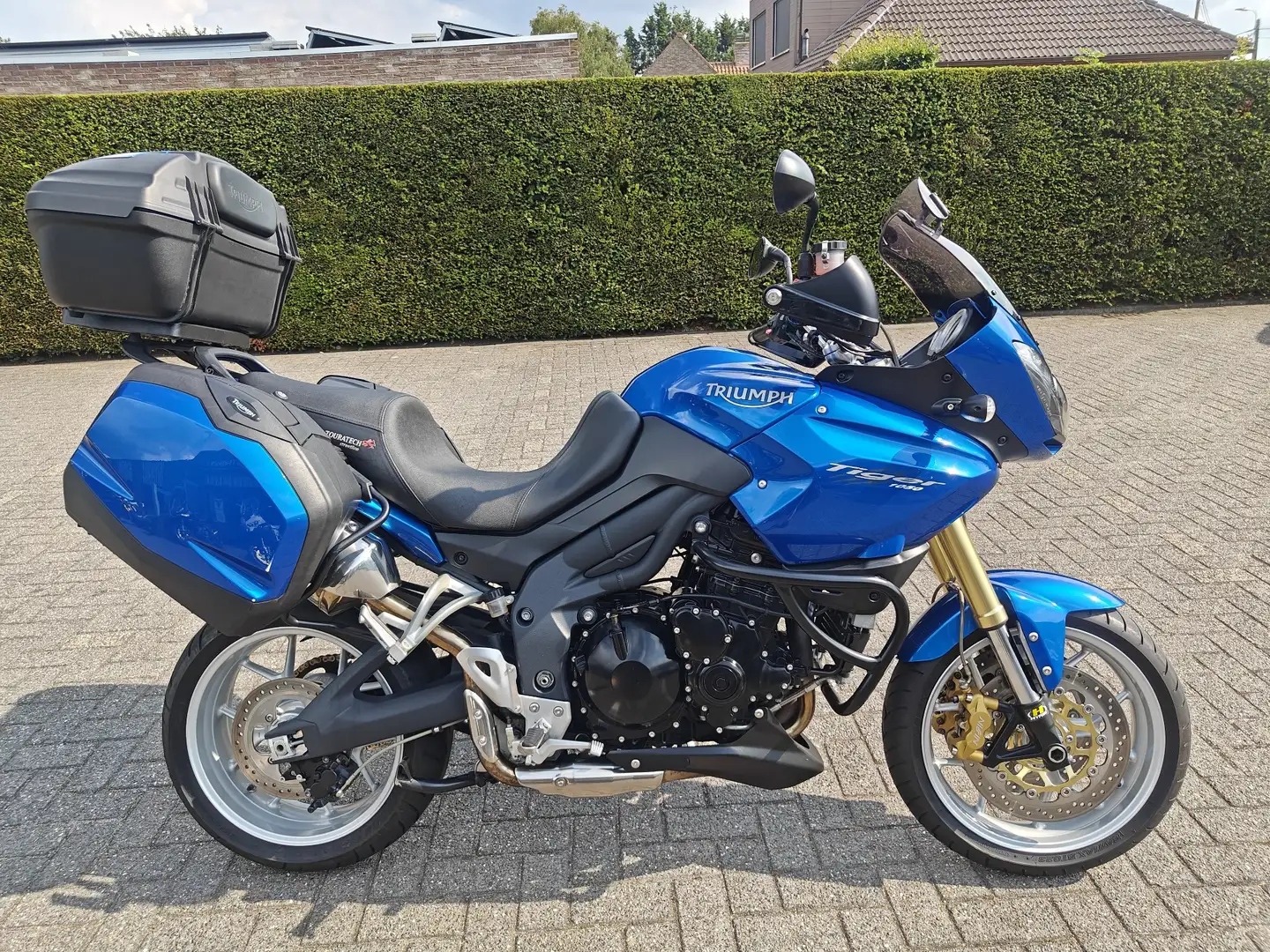 Triumph Tiger 1050 Bleu - 2