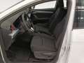 SEAT Ibiza 1.0 TSI 81KW FR 110 5P Blanco - thumbnail 10