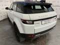 Land Rover Range Rover Evoque 2.0 td4 SE Dynamic 150CV auto - GARANZIA UFFICIALE Weiß - thumbnail 4