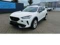 CUPRA Formentor Cupra 1.5 TSI BMT Klima LED Alu Alb - thumbnail 8