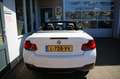 BMW 218 2-serie Cabrio 218i High Executive | M-pakket | Na Wit - thumbnail 28
