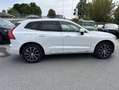 Volvo XC60 XC60 B5 D AWD Geartronic Inscription Luft-FW*RFC Wit - thumbnail 9