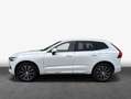 Volvo XC60 XC60 B5 D AWD Geartronic Inscription Luft-FW*RFC Weiß - thumbnail 4