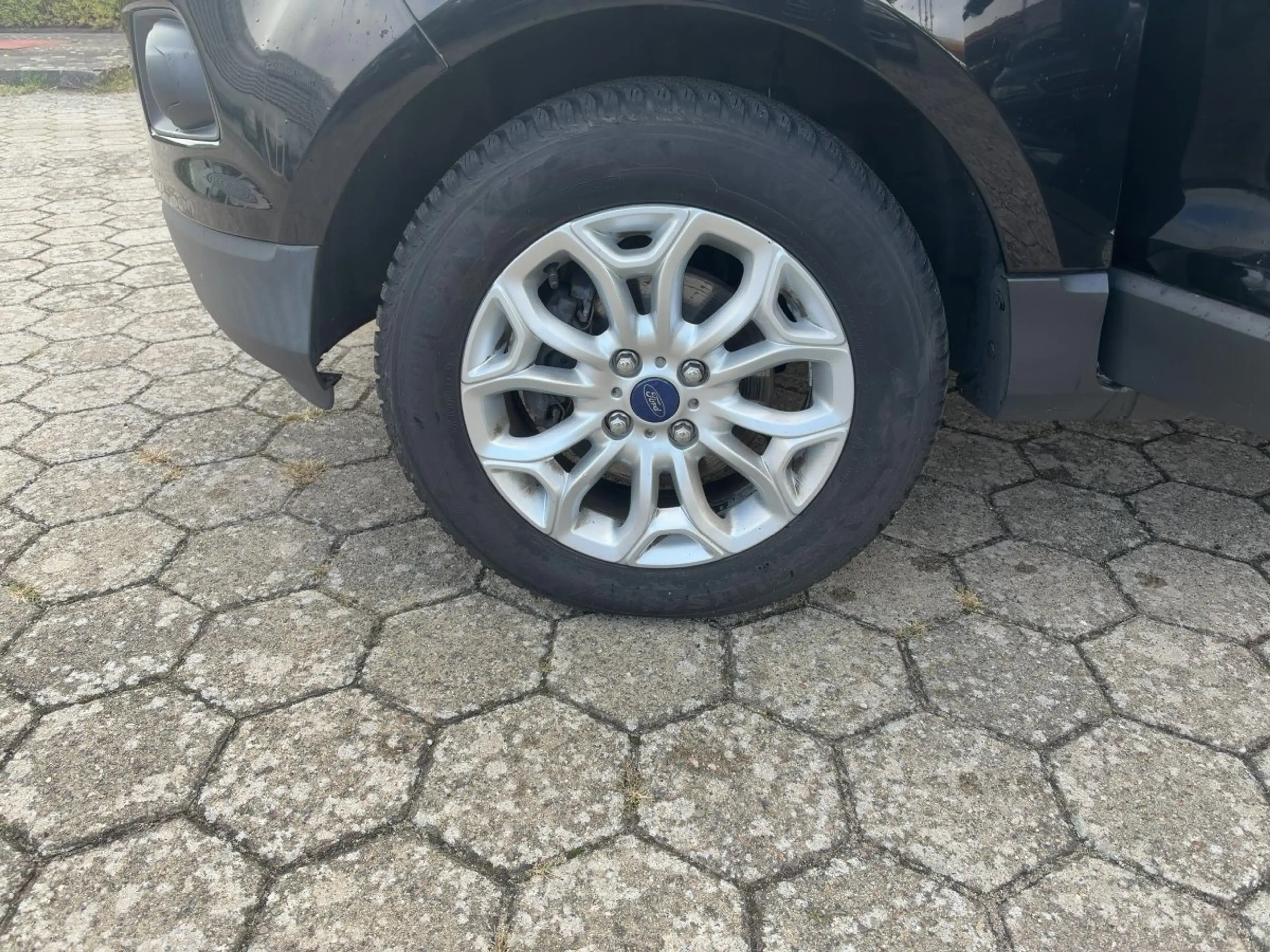 Ford EcoSport 1.0 EcoBoost Trend Navi+SHZ+Winterp.+LM — photo 14