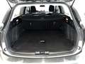 Ford Focus 1.5Ecoblue Active Aut. 120 Negro - thumbnail 34