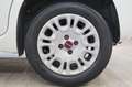 Fiat Panda FIAT Panda 1.3 MJT 95 CV S&S Easy Bianco - thumbnail 11