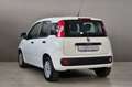 Fiat Panda FIAT Panda 1.3 MJT 95 CV S&S Easy Bianco - thumbnail 8