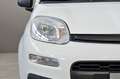 Fiat Panda FIAT Panda 1.3 MJT 95 CV S&S Easy Bianco - thumbnail 10
