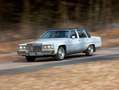 Cadillac Fleetwood Fleetwood 6.0 Limousine Grau - thumbnail 15