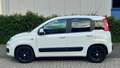 Fiat Panda 1.2 69PK Lounge Clima Weiß - thumbnail 4