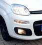 Fiat Panda 1.2 69PK Lounge Clima Weiß - thumbnail 7