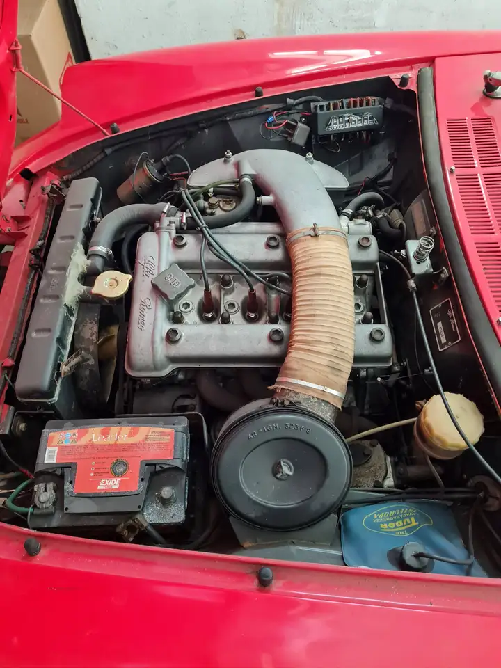 Alfa Romeo Spider Duetto osso di seppia, foto 9