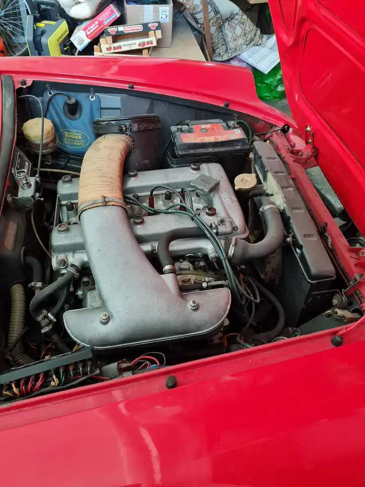 Alfa Romeo Spider Duetto osso di seppia, foto 8