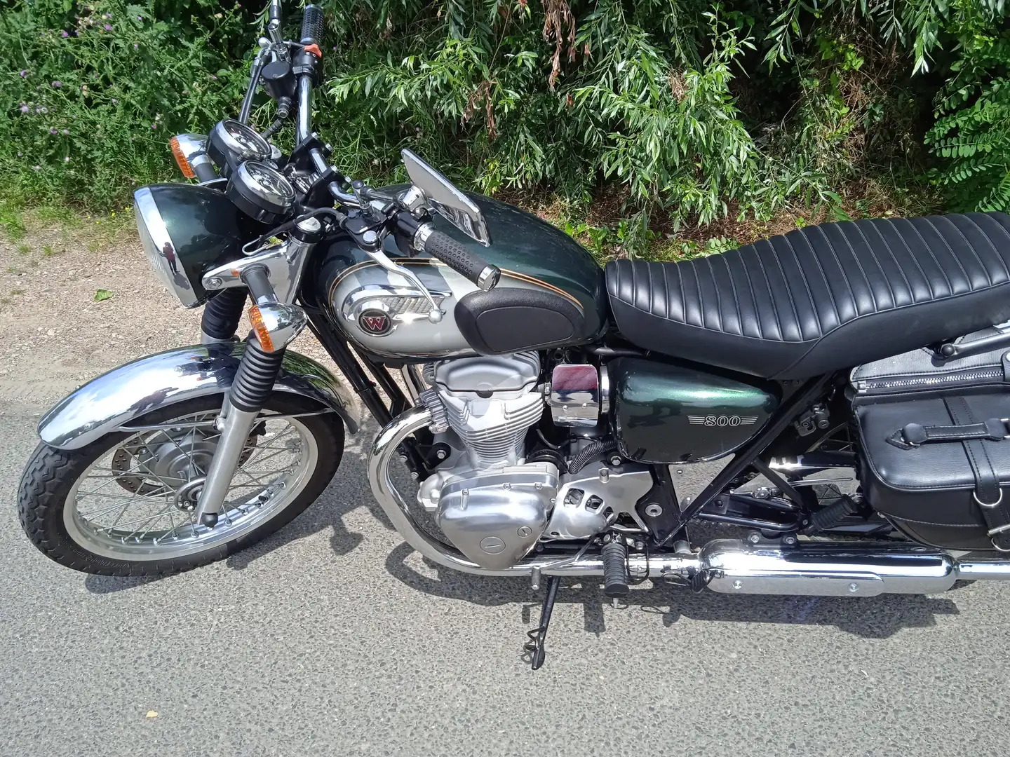 Kawasaki W 800 Verde - 1