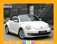 Volkswagen Maggiolino Cabrio 1.6 Tdi Design 105cv Білий - thumbnail 2