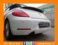 Volkswagen Maggiolino Cabrio 1.6 Tdi Design 105cv Bianco - thumbnail 9