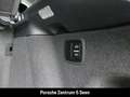 Porsche Macan GTS, PANO, PRIVACY, BOSE, ACC, NAVI, 75L Grau - thumbnail 24