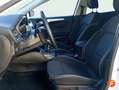 Ford Focus 1.5 Ecoblue Trend+ 120 Gris - thumbnail 33