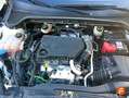 Ford Focus 1.5 Ecoblue Trend+ 120 Gris - thumbnail 43