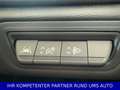 Renault Captur II Intense*City Komfort Paket *NEUWERTIG* Rot - thumbnail 15