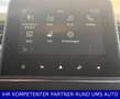 Renault Captur II Intense*City Komfort Paket *NEUWERTIG* Rot - thumbnail 12