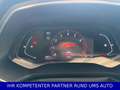 Renault Captur II Intense*City Komfort Paket *NEUWERTIG* Rot - thumbnail 10